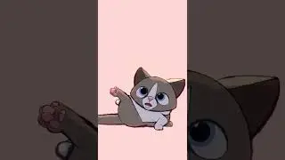 Cute kitten 