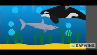 Killer Whale vs Shortfin Mako Shark | Sticknodes Animation