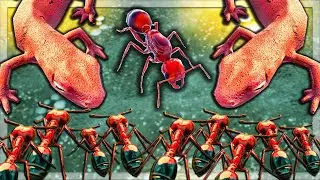 I Create LIVING BRIDGES With FIRE ANTS While Battling HUGE RED NEWTS
