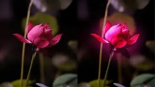 How to Add Glow to an object using Photopea | Free Browser Photoshop
