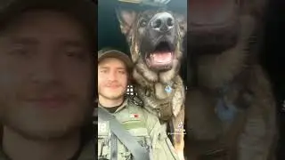 You Wont Believe How Big This K9 Is!