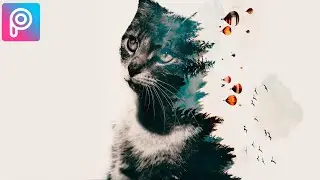 Awesome Photo Editing Of A Cat | Double Exposure With Picsart | Photo Editing Tutorials.