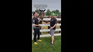 Horsepower & Torque | Freightliner Cascadia