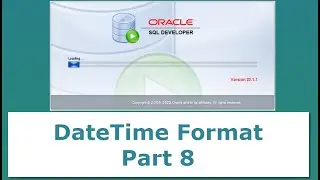 How to Set a Custom Date-Time Format in Oracle SQL Developer Settings  - Part 8