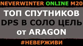 спутники| DPS в СОЛО ЦЕЛЬ | Aragon | Neverwinter м20 