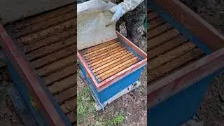 приехали проверять первый точек