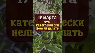 19 марта народный праздник Константиновы круги Константинов день. Что нельзя делать Народные приметы