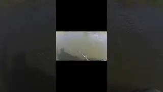 И в самом конце рыбалки 
