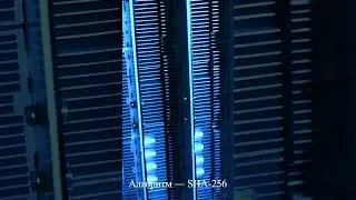 Asic Bitmain Antminer S19 XP 141TH/s