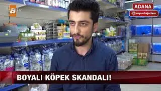 Köpeğin Dip Boyasını Yapan Sayko Petshop - Röportaj Adam #8