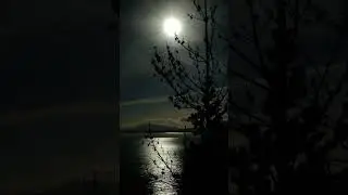 Moon Bridge. Лунный мост. Music by Sergey Grischuk.