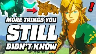 33 MORE Things You STILL Didnt Know In Zelda Tears Of The Kingdom