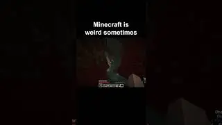 Minecraft Is Weird Sometimes...