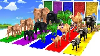 Mammoth Elephant Dinosaur Cow Gorilla Choose The Right Door Break Wall Game Multiple Challenge Video