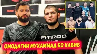 Мухаммад Наимов бо Хабиб Нурмагомедов омодаги ба мухориба | Канонир бо Хамзат мухориба мехоха | Умар