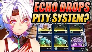 Echo Farming GUARANTEE SYSTEM!! Optimize Your Echoes NOW - WUTHERING WAVES