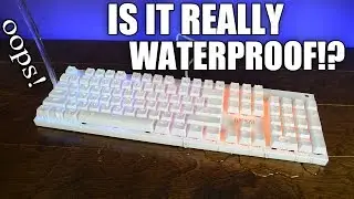 A Great Budget Mechanical Keyboard - 1st Player Firerose Review