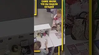 Самое милое, что вы видели сегодня 