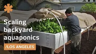 Backyard aquaponics as self-sustained farm in (sub)urban LA