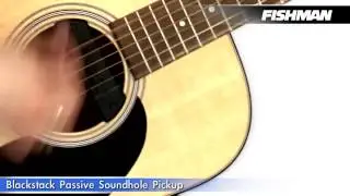 Fishman Blackstack Soundhole Passive Pickup, Double Stacked Humbucker