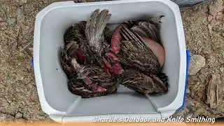 Grouse Hunting over the weekend in upper Sudbury, Ontario.