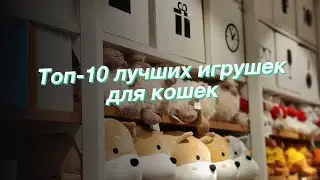 Топ-10 лучших игрушек для кошек