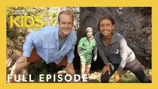 Caves | Weird But True! | S1 E14 | Full Episode | 