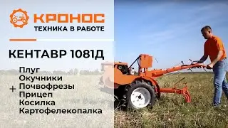 Мотоблок Кентавр 1081Д в работе (kronos5.by/kronos5.ru)