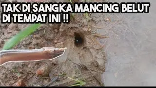 mancing belut di tempat ini bikin ketagihan#belut #ngurekbelut