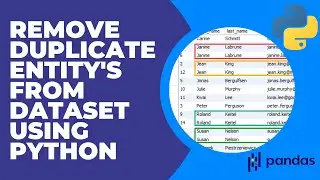 Remove Duplicate Entities From A Dataset Using Python