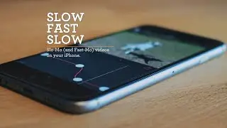 Slow Fast Slow