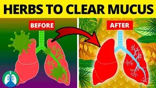 5 Herbs for Lung Health, Clearing Mucus, COPD, and Killing Viruses