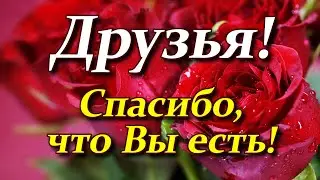 Моим друзьям! Красивая песня. Спасибо, что ты есть!