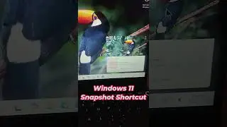 windows 11 snapshot shortcut 