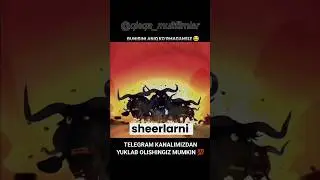 Mani boshqa sherlar podstavka qilib yuborishgan ekan // Super Dublajga ega Multifilm