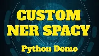 Custom  Named Entity Recognition  NER  Disease in clinical text with spaCy 2.0 in Python  