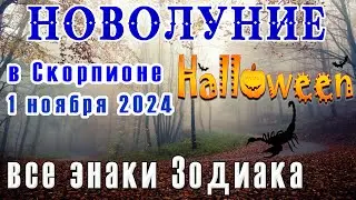 🌙НОВОЛУНИЕ 1 НОЯБРЯ В СКОРПИОНЕ🌙ЧТО ПРИНЕСЁТ  ВСЕМ ЗНАКАМ ЗОДИАКА🌙NEW MOON NOVEMBER 1 IN SCORPIO