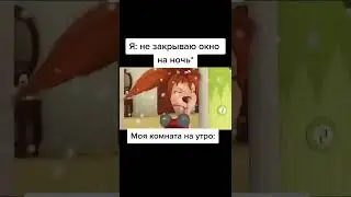 Я:не закрываю окно на ночь* моя комната на утро: