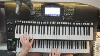 Yamaha PSR s775 - Ани Лорак - Забирай - Co Ty w sobie masz