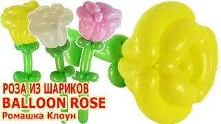 How to Make a Balloon Rose Flower TUTORIAL