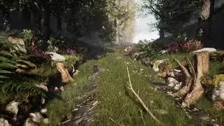 Forest Path | Quixel Megascans & Unreal Engine 5