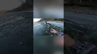 Таких на рыбалку не берём😂Горная рыбалка поздней осенью|рыбалка в России | 