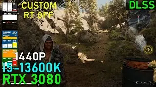 Synced RTX 3080 + 13600K [Custom - DLSS 1440P]