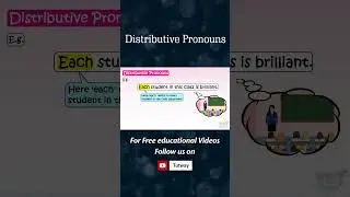 Indefinite and Distributive Pronouns 2