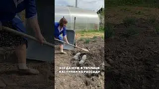 При съемке ролика ни один муж не пострадал🤣 