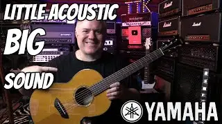 Built In Effects in an Acoustic Guitar - Yamaha TransAcoustic Demo & Review