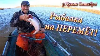 Как Легко Ловить на Перемет! Отличный Улов,  р.Чулым!