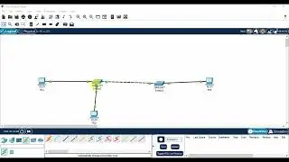 Trunk Ports and Access Ports Explained