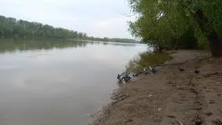 Урал пошёл на спад. Уральск 10 мая 2023