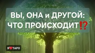 Вы, она и другой: что происходит⁉️ расклад таро для мужчин | Манара